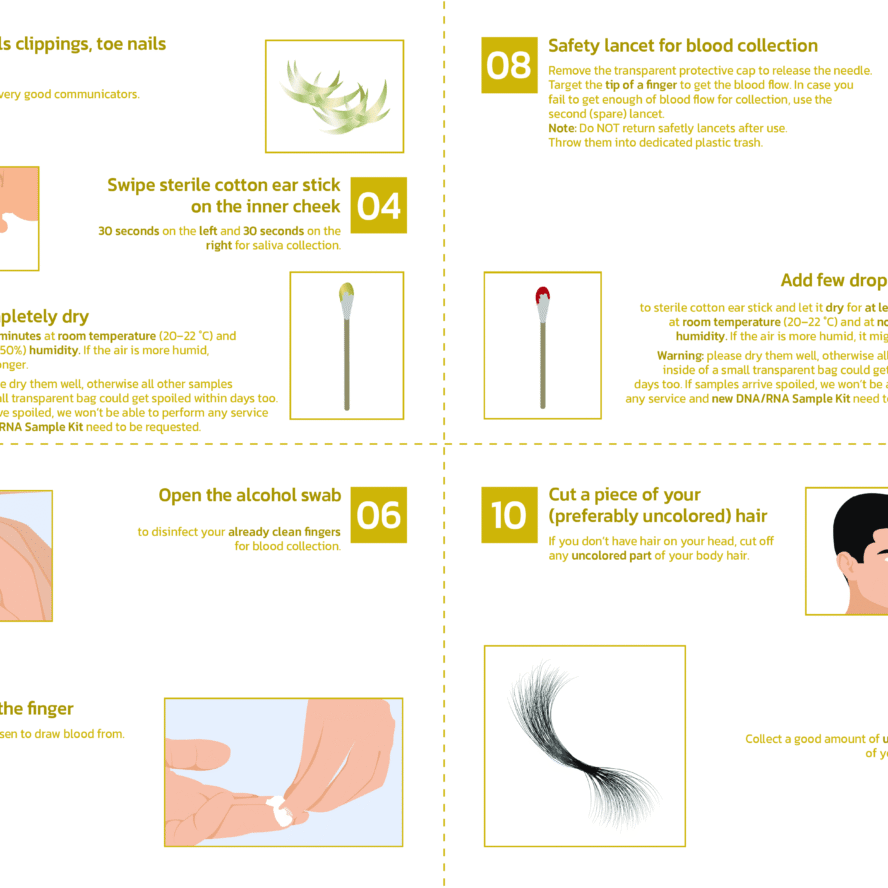 DNA/RNA Sample Kit illustrated instructions page two