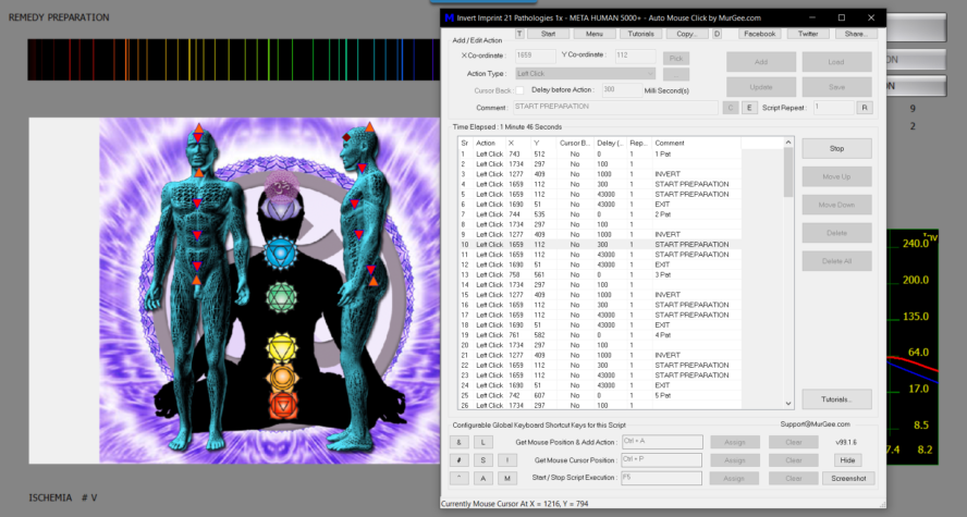 Life Resonance Intelligence NLS Expert Worldwide 2x1-Hour Sessions Support Pack (Mentorship) - Image 5